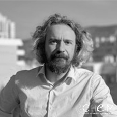 Pr Raoul BELZEAUX