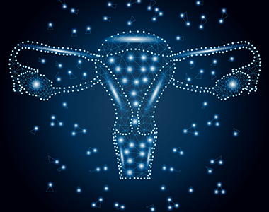 Les assises de la gynécologie : santé de la femme