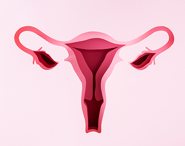 Les assises de la gynécologie : suivi de la femme