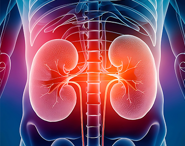 Classe virtuelle : néphrologie pratique pour le médecin généraliste