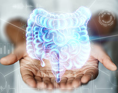 Classe virtuelle : tout sur le SIBO - du diagnostic à la prise en charge micronutritionnelle