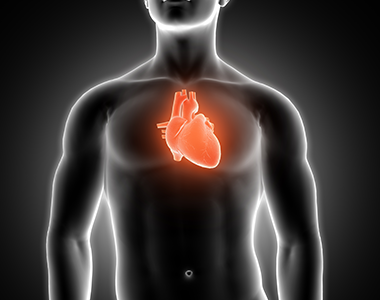 Classe virtuelle : CardioCHEM : accompagnement pharmaceutique des patients souffrant de pathologie cardiovasculaire