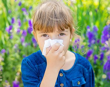 Classe virtuelle : allergie de l’enfant : le vrai du faux