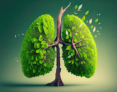 Classe virtuelle : les petits gestes pour un Écocabinet, on peut tous s'y mettre !