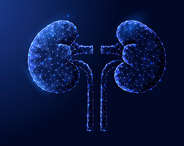 Néphrologie pratique pour le médecin généraliste