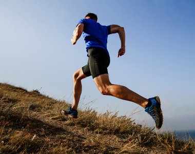 Transmed - Palmarès des lésions du membre inférieur du coureur à pied