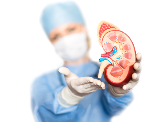 Néphrologie pratique pour le médecin généraliste