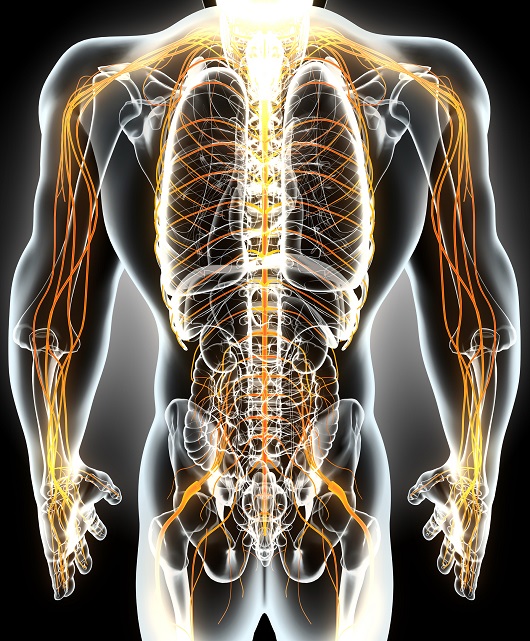 Thérapie neurodynamique