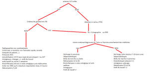 arbre-decisionnel-dr-tain-003